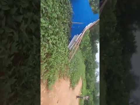 10 ACRES OF LAND – OFF HOTEL BUS STOP, LASU/ISHERI ROAD, IGANDO, LAGOS