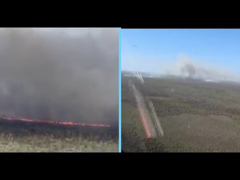 Incendio arrasa más de 22.000 hectáreas en Bahía Negra