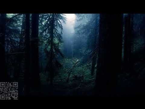 Dark forest Blisargon Demogorgon Blisargon Demogorgon Dj Set Dragonfly Radio 03 December 2014