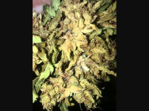 Skavillian Sound - Jungle Bass Inna Di Hed Mix