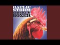 The Storks of Guadalajara - Gaelic Storm - Topic The Storks of Guadalajara