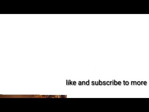 dagne walle wey finkich lyrics