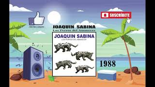 Joaquin Sabina - Los Perros del Amanecer (Radio Version)
