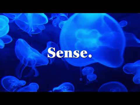 Tom Damage, JP Lloyd - Lover