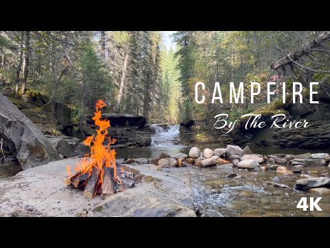 4K Campfire By The Forest River | Outdoor Fireplace With Background Waterfall | Calming White Noise