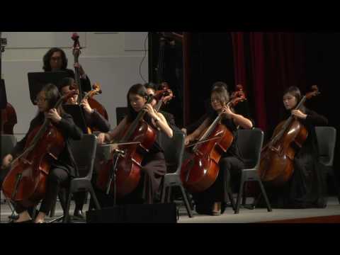 NYP Sinfonia 2017 Celebrations!