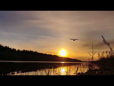 Sunset to Nemumas Time-lapse HUAWEI P30 Pro | Kaunas 2020 05 01