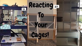 Reacting To My Suscribers Cages