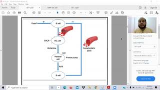 Gastrointestinal 4 (GIT4- TOXIC USMLE) Ibrahem Gamal شرح وحل معادلة امريكية-ابراهيم جمال