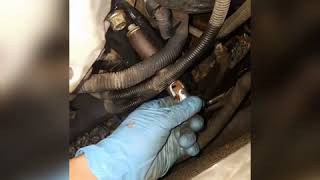 01 pontiac grand am front transmission mount removal (#easy) #comment #like #Fixed#Hack#Pontiac