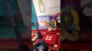 Download lagu Viral kucing mana yang di pancing di tahun 2021 ini #shorts mp3