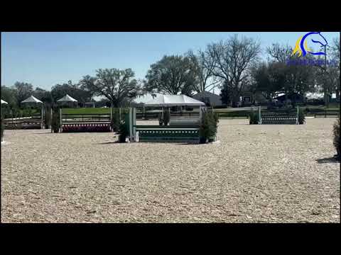 Horse Video Thumbnail