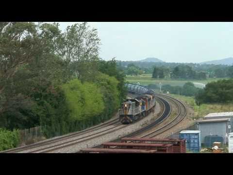 El Zorro at East Maitland