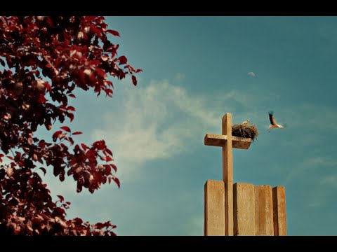 EXCLUSIVA: tráiler de LOS CANGREJOS, de Rubén Seca, estreno mundial en SEMINCI 2025