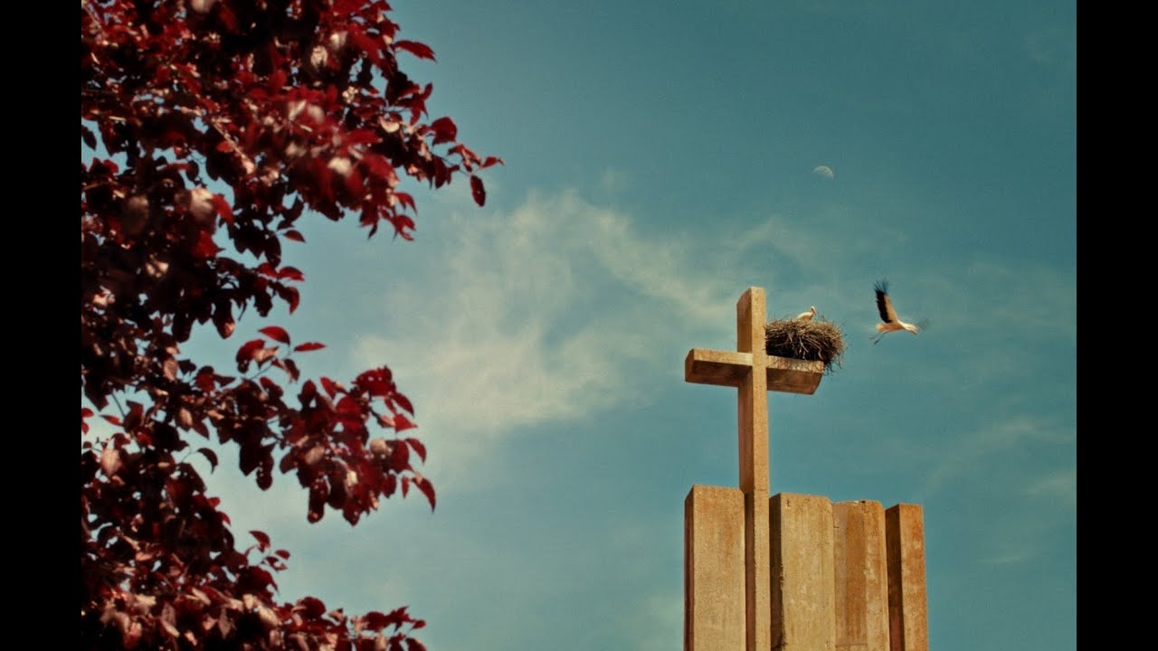 EXCLUSIVA: tráiler de LOS CANGREJOS, de Rubén Seca, estreno mundial en SEMINCI 2025