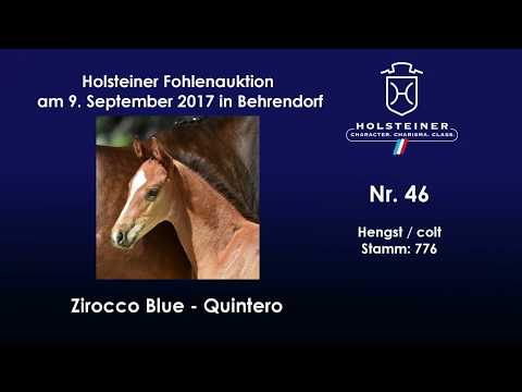 Nr. 46 v. Zirocco Blue - Quintero