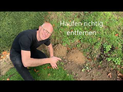 Maulwurfshügel Beseitigen - 3 Effektive Methoden