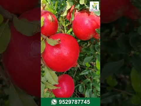 Complete Farm Test Package Overview