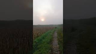 Download lagu suci dlm debu mp3