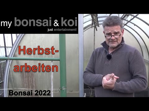Bonsai 2022-61 - Herbstarbeiten
