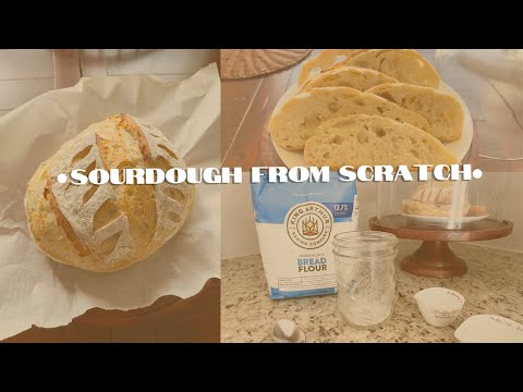 Creating a STRONG sourdough starter from scratch