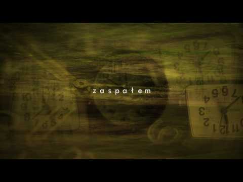 slvn - zaspałem (diss śpiochu)