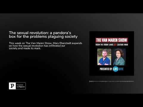 The sexual revolution: a pandora's box for the problems plaguing society