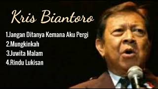 Download lagu KRIS BIANTORO LAGU NOSTALGIA TERBAIK  mp3