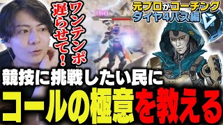 【辛口コーチング】競技に挑戦したいアッシュにコールの極意を教えます【ApexLegends】