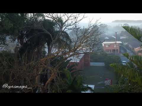 DJI MINI 2 - RAINBOW LORIKEETS - QuickCapture