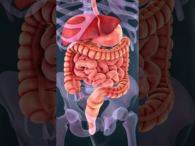 Vídeo relacionado con Manganeso 10 mg - 365 comprimidos para 1 año - Alta biodisponibilidad gracias al bisglicinato de manganeso - Vegano - oligoelemento esencial