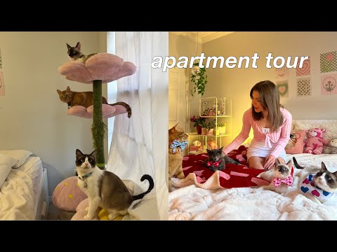 1 bedroom apartment tour with 4 cats