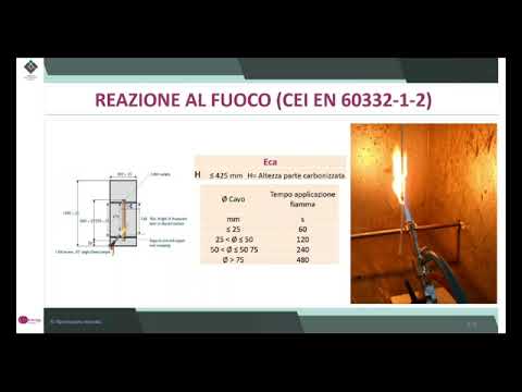 Alessandro Pristerà - Berica Cavi