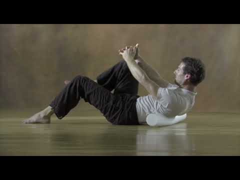 Fascial Fitness DVD (Deutsch)