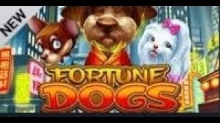 Fortune Dog — Kemenangan Besar