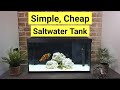 How To Set Up A Saltwater Tank For Beginners (...for £182)