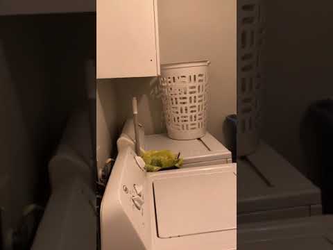 Virtual Tour of our listing on Appian Way