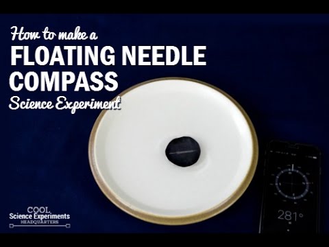 How to make a Floating Needle Compass Science Experiment