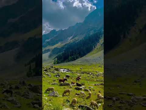 kal Nehi yana🫰🫰🫰🥰🥰🥰