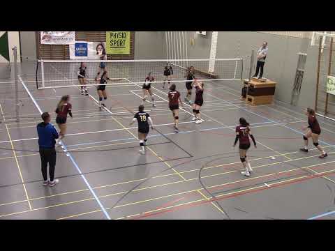 VBC Steinhausen vs. Hochdorf 2