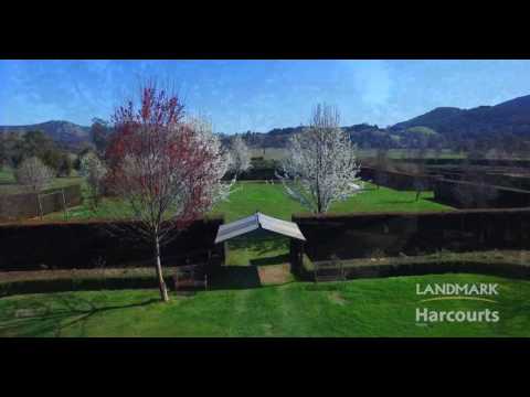 High Country Gardens, Cafe, Gallery and Maze