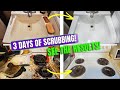 Super Satisfying Scrubbing and Amazing Before and Afters!