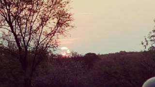 Download lagu Ziphi Izilwane mp3 Download lagu Ziphi Izilwane mp3