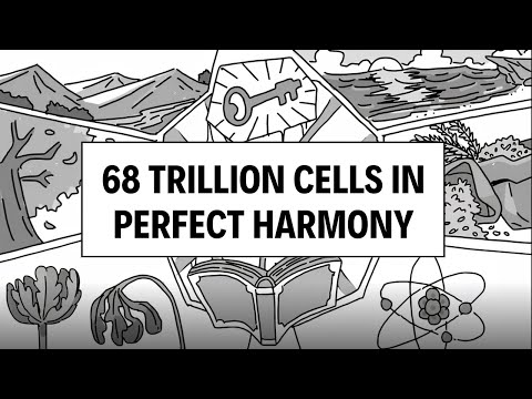 Allah Knows Every Cell of You - Belal Assaad