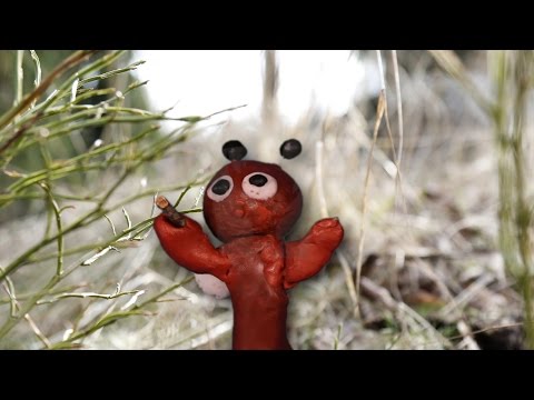 Mauri Muurahainen (Koulutyöanimaatio :D)