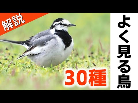 リダイレクトアイコン