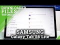 How to Find Downloaded Files in SAMSUNG Galaxy Tab S6 Lite – Locate Downloaded Files