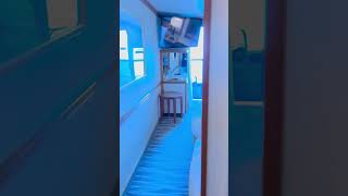 Crown Princess Balcony C705