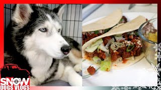 WAKE UP OAKLEY and EASY DINNER