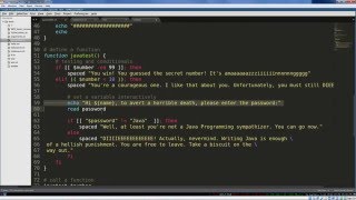 Bash Scripting 7: Functions and Course Review